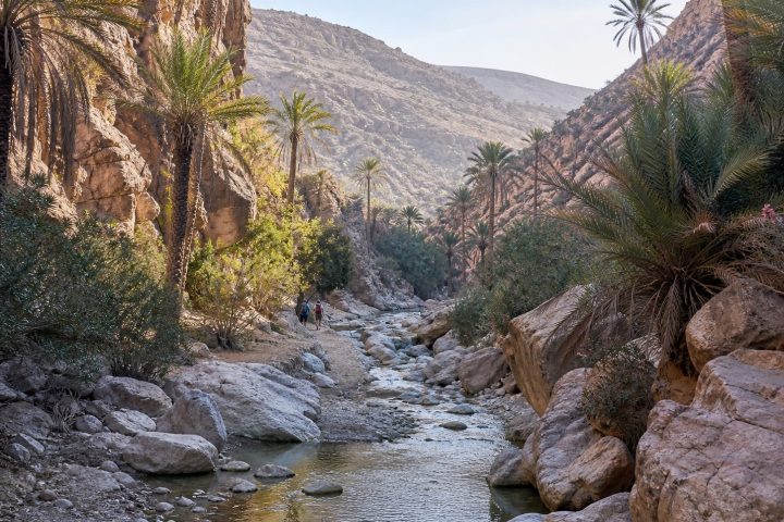 Explorer la vallée du Paradis depuis Agadir