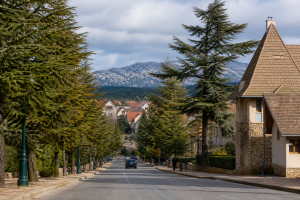 Rue arborée et architecture de montagne à Ifrane