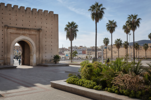 Oujda medina gate and a palm-planted public square
