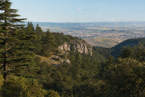 Forêt et reliefs du parc de Tazekka avec Taza au loin, illustration originale MOP