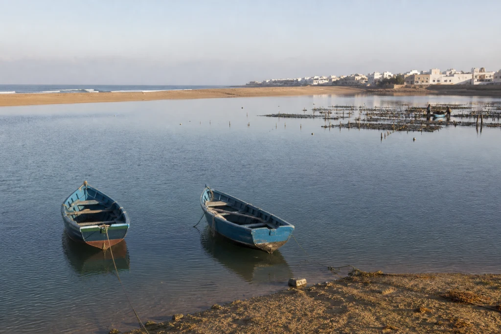 Two blue boats beside Oualidia lagoon with the white village in the distance, original MOP illustration