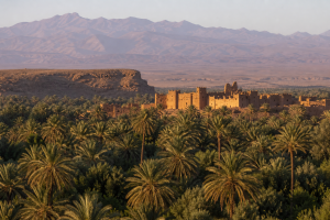 Palmeraie de la vallée du Drâa, kasbah en terre et montagnes près de Zagora