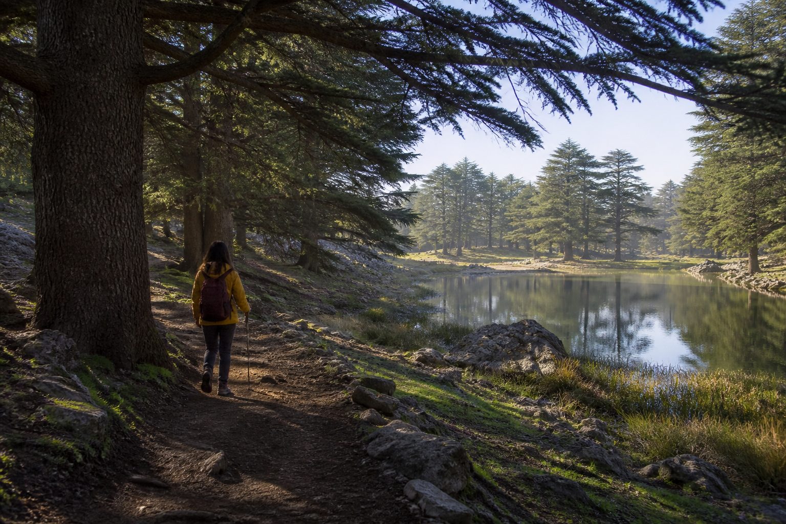 Découvrir Ifrane en images