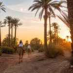 Découvrir la Palmeraie de Marrakech au coucher du soleil