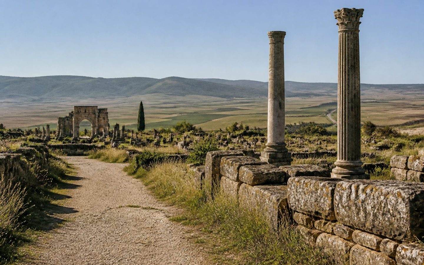 Excursion de Meknès vers Volubilis