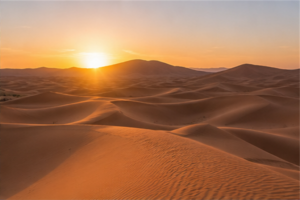 Grandes dunes ocre de l’Erg Chebbi éclairées par le lever du soleil sans mise en scène animale
