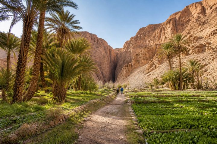 Walk from Tinghir’s palm grove to Todgha Gorge