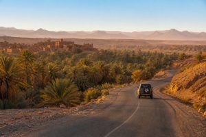 Route traversant la palmeraie de la vallée du Drâa vers M’Hamid